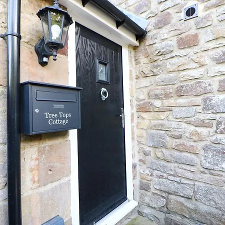 Dom wakacyjny Tree Tops *