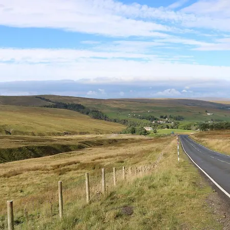 Dom wakacyjny Tree Tops