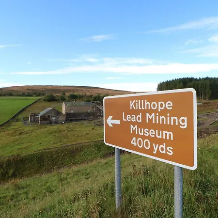 Dom wakacyjny Tree Tops