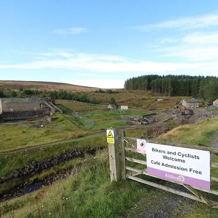 Tree Tops Dom wakacyjny