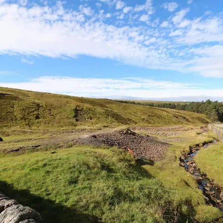 Dom wakacyjny Tree Tops