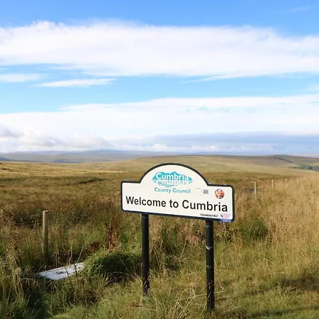 Dom wakacyjny Tree Tops