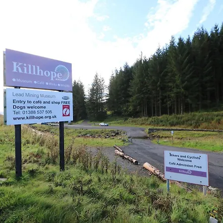 Tree Tops Dom wakacyjny *